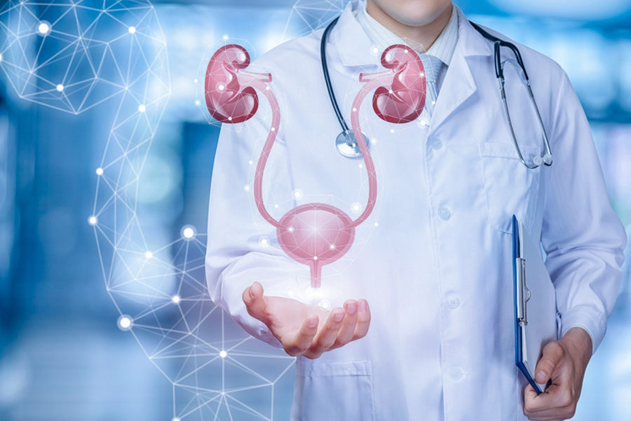 Лечение заболеваний мочеполовой системы в санатории