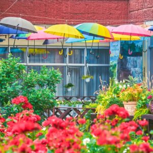 Территория в санатории «Виктория» в Кисловодске - фотография