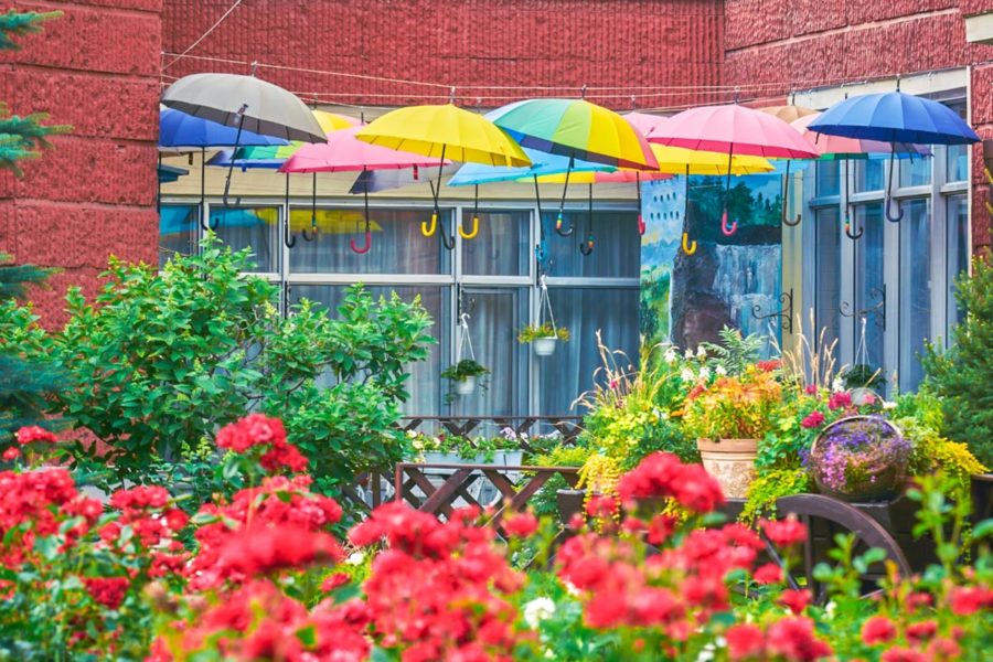 Территория в санатории «Виктория» в Кисловодске - фотография
