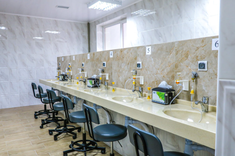 Лечение в санатории «Виктория» в Кисловодске - фотография