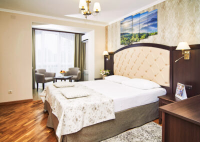 Номер «Стандарт ПК» 2 местный 1 комнатный в санатории «Виктория» в г. Кисловодске - фотография