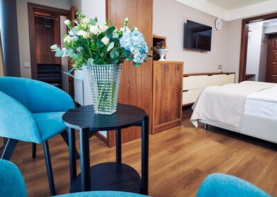 Номер «Премьер» 2 местный 1 комнатный в санатории «Виктория» в г. Кисловодске - фотография